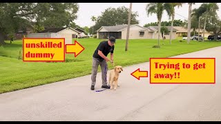 American Standard Dog Training Is An UNSKILLED COMPULSIVE BULLY