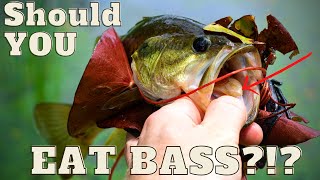 Should you Eat Bass?!? + Catch and Cook - Largemouth Bass