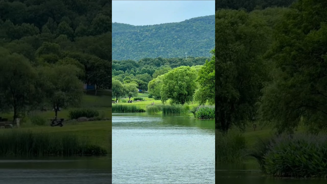 Reignwood Pine Valley  Beijing, China.🙏@BeautifulNature-q9g प्लीज सब्सक्राइब चैनल🙏