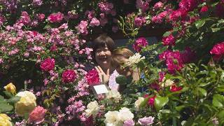 Garden mamaさま専用 YouTube
