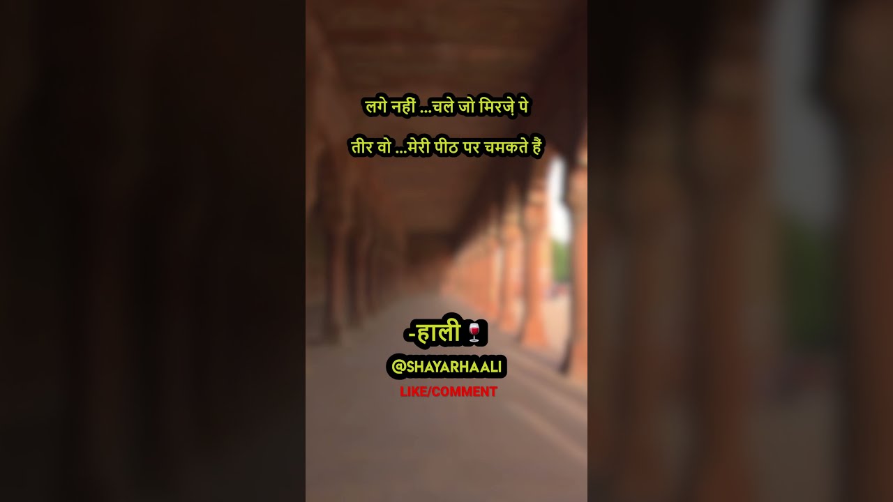 तीर मेरी पीठ पर …#shorts#shayari#shyari#shayri#viral#trending 