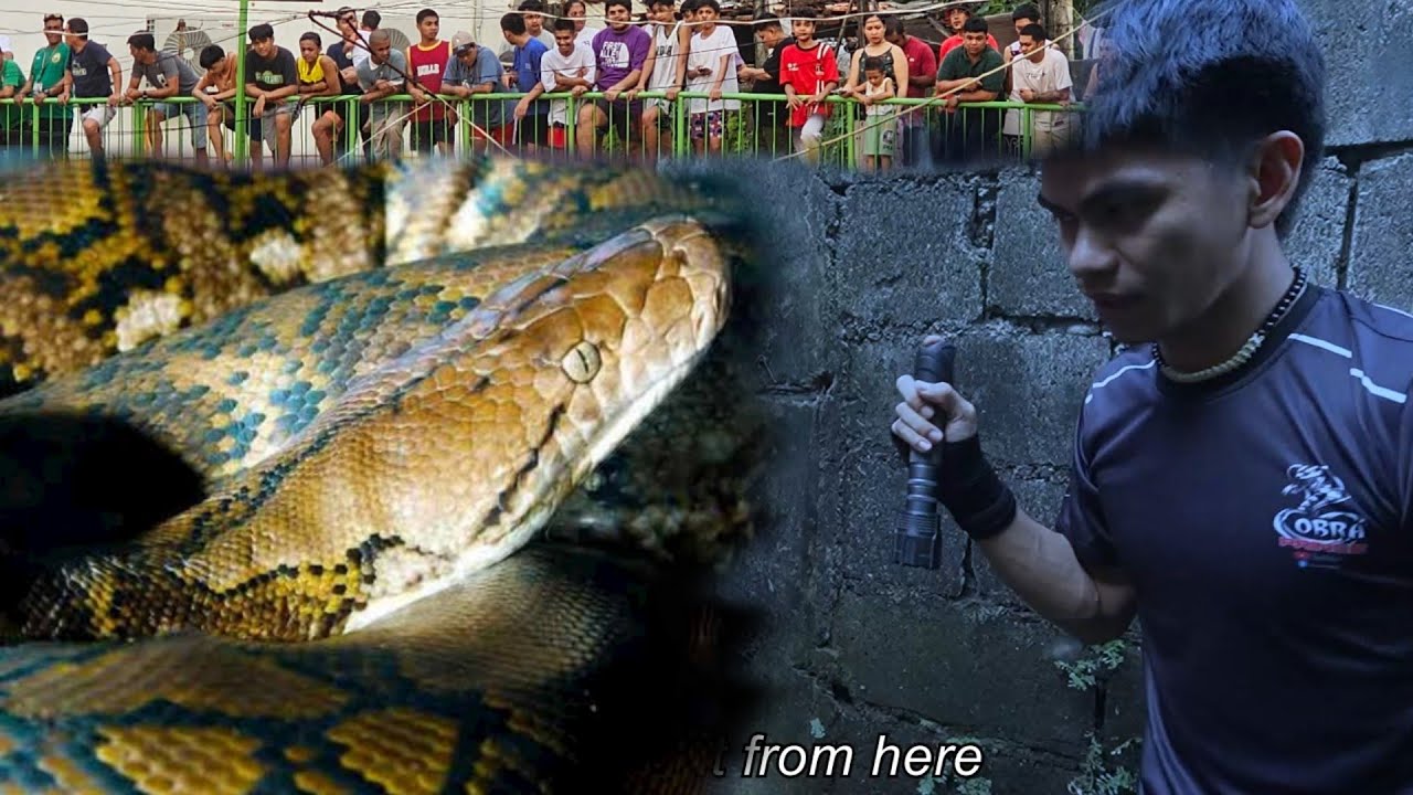 PART 2. ANG PAG HAHANAP SA MALA POSTE NA SAWA KAYA NANG KUMAIN NG TAO