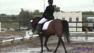 040D Kate Lathrop Junior Training Dressage Ram Tap April 2012
