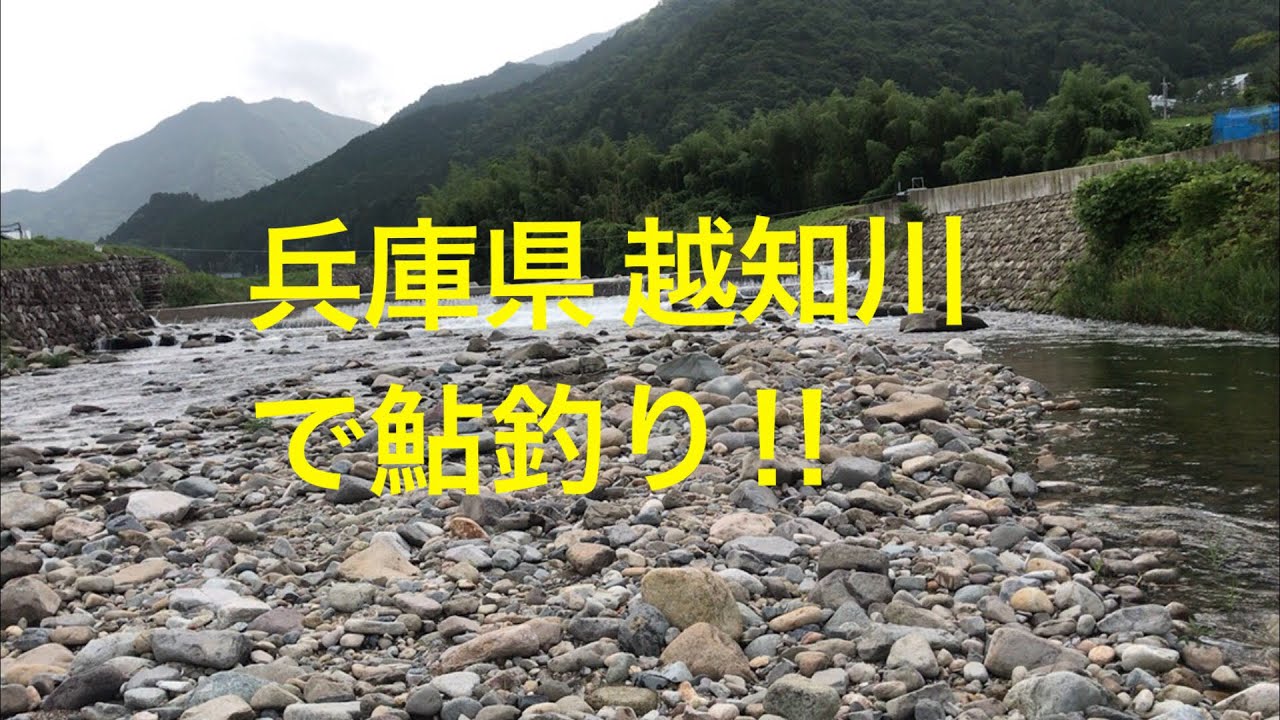 鮎釣り 兵庫県 越知川へ行ってきました Youtube