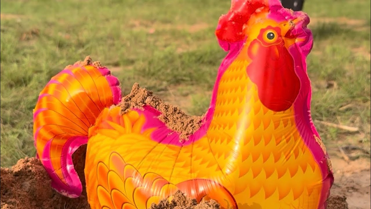 The show AMAZING SMART idea with SURVIVAL skills 