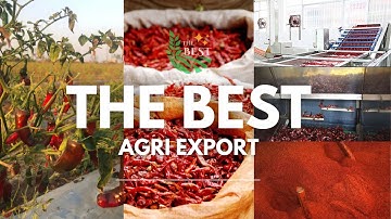 Mastering the Art of Export: Red Chilli Powder Process by India’s Best-THE BEST AGRI EXPORT