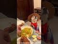 うるさい犬はまですべてを拒否します。..