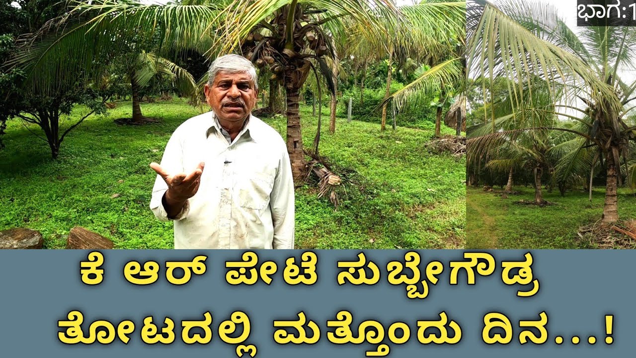 ಒಂದು ಎಕರೆಯಲ್ಲಿ ಯಾವ ಯಾವ ಬೆಳೆಯಿಂದ ರೈತ ಹೆಚ್ಚಿನ ಆದಾಯ ಗಳಿಸಬಹುದೆಂದು ಕೆ ಆರ್ ಪೇಟೆ ಸುಬ್ಬೇಗೌಡ್ರು ಹೇಳುತ್ತಾರೆ..!