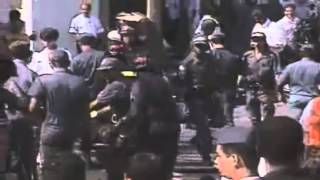 Cellmys - Flight for the Death