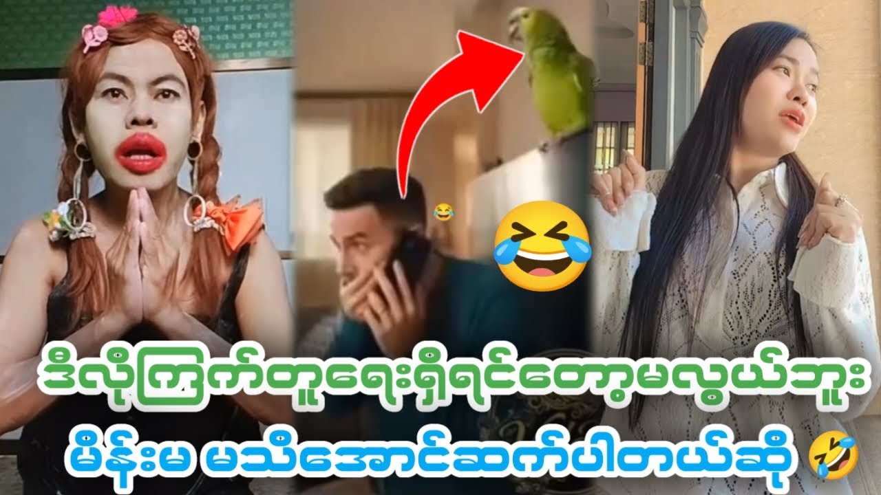 🤣ဆော်နဲ့ ဖုန်းခိုး ပြောတာ ကြက်တူရွေး ကြောင့်တိုင်ပတ်ပီ အကုန်ရီ နေရတယ်(Funny Reaction)