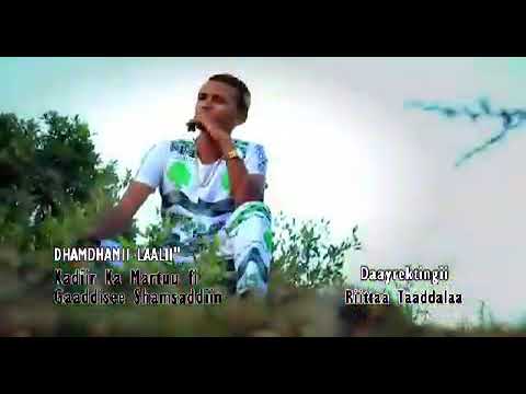 Kadiir Kaa Maartuu Fii Gaaddisee Shamsaddiin Dhamdhamii Lalii 2015