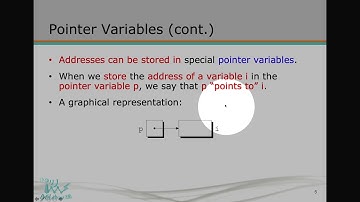 1082 CP [W10] 7.1 Pointer with Address and Indirection Operators