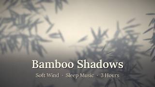 Bamboo Leaf Shadows in a Soft Breeze (Komorebi) | 3 Hours Wind for Calm Focus, Meditation & Sleep screenshot 4