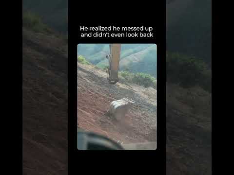 He realized he messed up and didn't even look back.