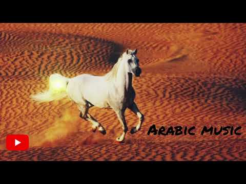 Арабские песни | Arabic Music