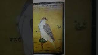 Falcon On A Bird Rest Explained In Hindi