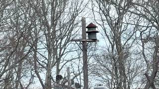 Federal Signal Model 7-Short Attack-North Sea NY 4-13-26