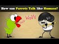 How can Parrots Talk like Humans? | #aumsum #kids #science #education #children