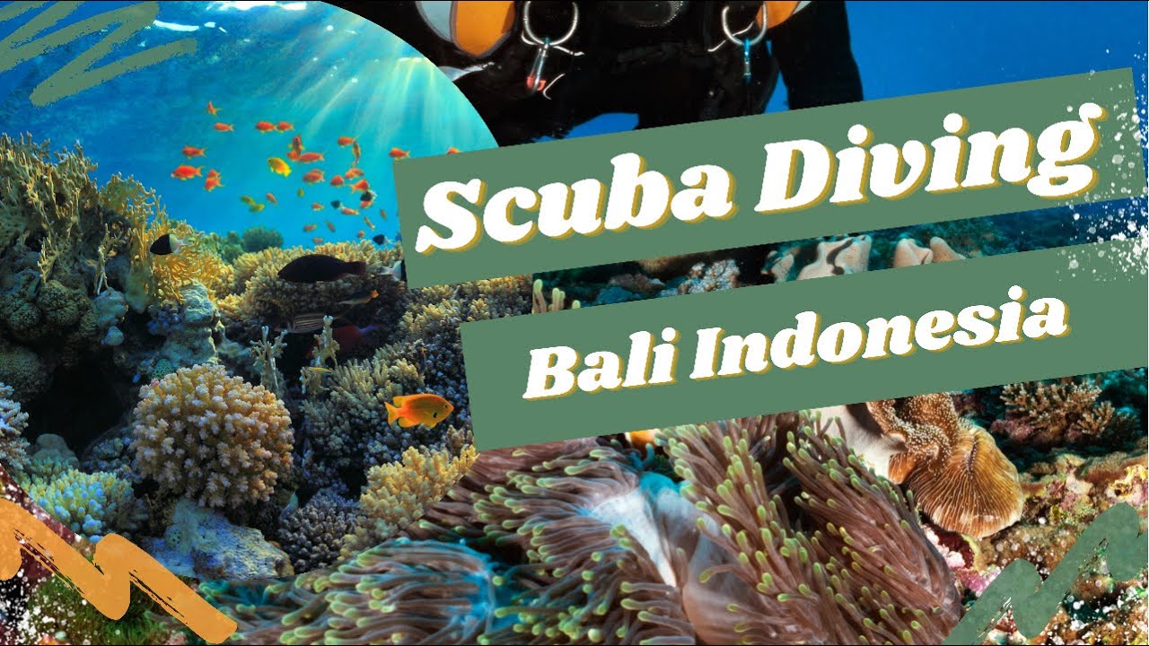 Scuba Diving in Bali Indonesia - YouTube