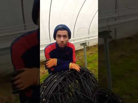 🇬🇧🍓🍓🍓работа в Англии.