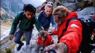 Monkey 🐒 Driving Thar on the way 😯😲 AI monkey vlogger monkey 🐒🐒 AI Short Move