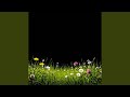 Весна The Spring Feat Anna Helmut 