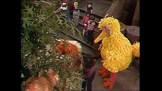 Famous Sesame Street 1466: Barkley Meets a Cat (1980) Profile