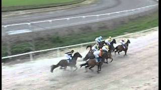Grand Prix Des Dames Cavalières 07-08-2011 - Ghlin