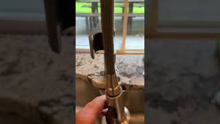 IMG 6175