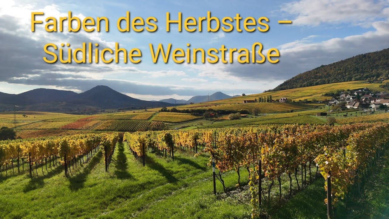 Farben des Herbstes – Südliche Weinstraße