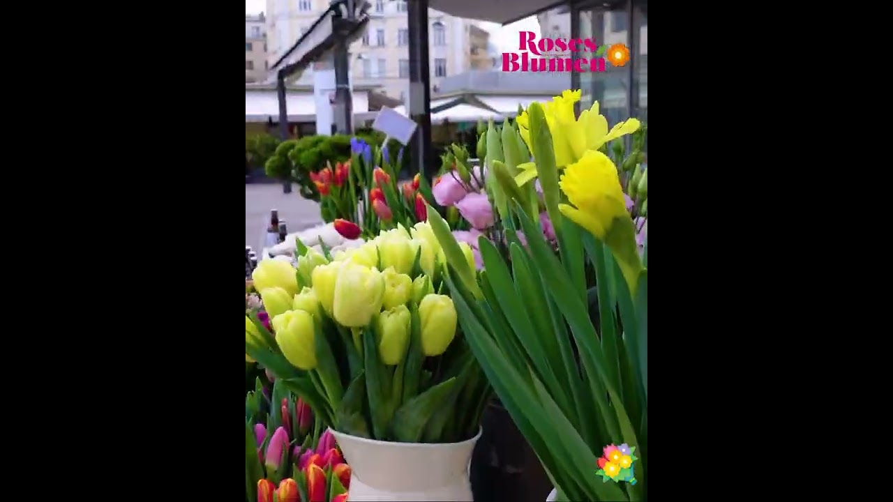 Fresh Cut Flowers in Vienna Austria | Flower Shop 2022 | Roses Blumen