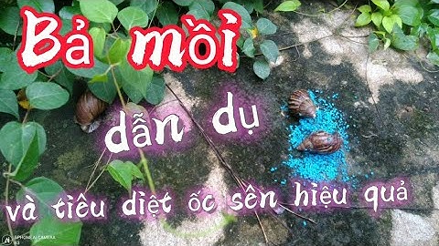 🐌 Thuốc Dẫn Dụ Và Diệt Ốc Sên Hiệu Quả
