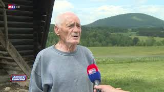 Vlast Ukinula Ergelu, Ljubitelji Pokušavaju Da Je Obnove I Sačuvaju Staru Pasminu Konja Bn Tv 2021