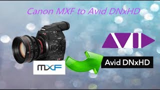 Workflow of Sony/Canon/Panasonic MXF files in Avid Workflow of Sony/Canon/Panasonic MXF files in Avid