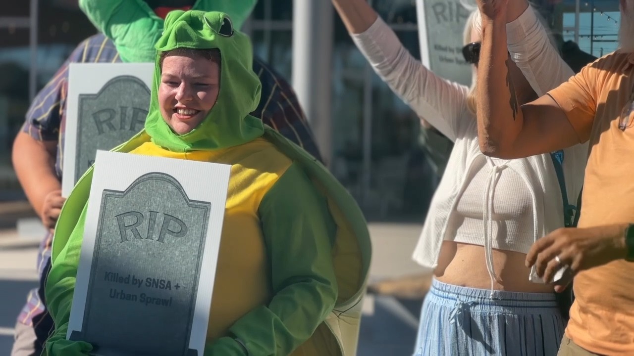 Ivanpah airport expansion starts environmental review, faces conservation critique