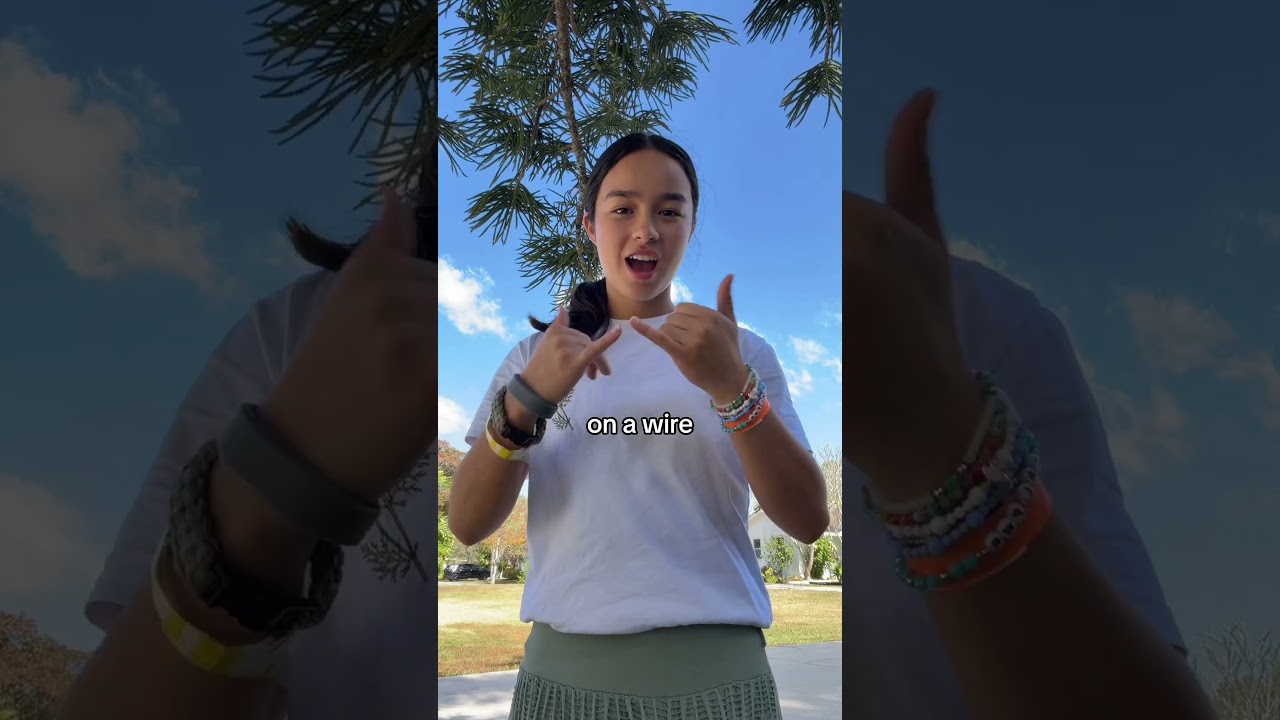 Does anyone know sign language??👀🤷🏻‍♀️🤩 