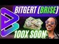 Bitgert (BRISE) Soon To 100X After This?! MAJOR UPDATE!