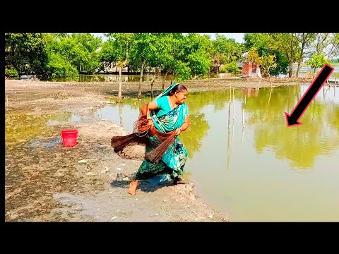 নদী ভাঙ্গনের পর পুকুরে কিভাবে বৌদিরা ঝাঁকি জাল দিয়ে মাছ ধরছে দেখুন ...