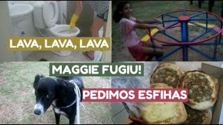 Vlog - Lavando O Banheiro, Parquinho Com A Prima, Veterinário E Mais