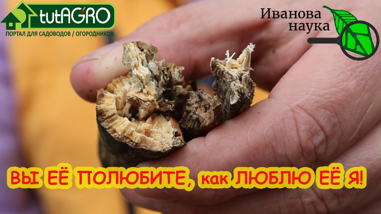 надпись выгодно. супер выгодно. значок выгодное предложение. выгодное предложение надпись. выгода картинка.