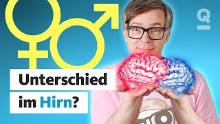 Thumbnail for Ticken Frauen von Natur aus anders als Männer? 🧠 | Quarks Dimension Ralph