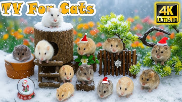 🔴[24/7] Ultimate CAT TV－Real Mouse Activity to Engage Cats & Melt Anxiety Fast🐭Relief Video for Cats