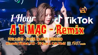[1 HOUR]- A Y Mạc (Remix Hot Tiktok ) Tổ Hợp A Cát Thái | 阿吉太组合 - 阿衣莫 - (越南鼓版) -- Hot TikTok 2022