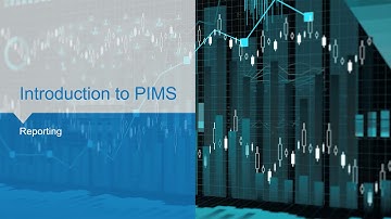 Aspen PIMS How-To 04 - Reporting