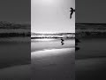 can kazaz - bunca yıl //slowed reverb #slowedandreverb #music