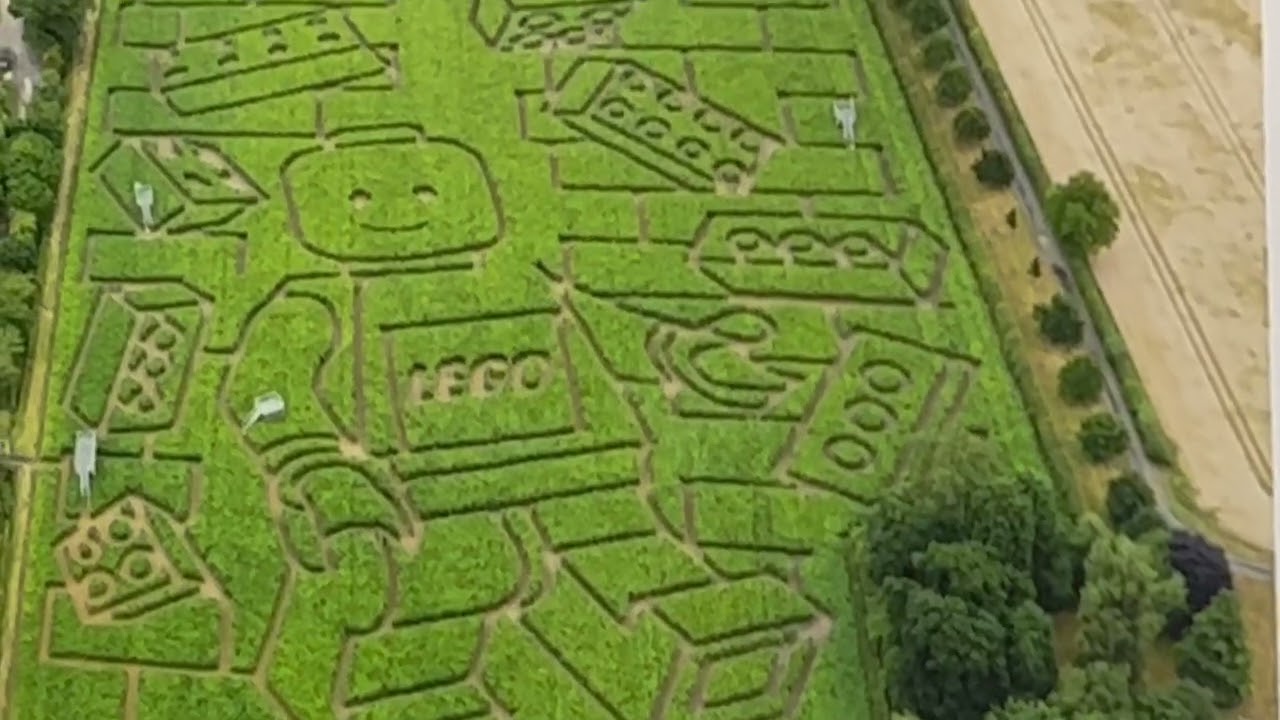 World's biggest lego corn maze 