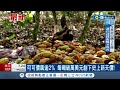 可可價飆逾2% 每噸破萬美元創下史上新天價!｜【國際局勢】20240416｜三立iNEWS