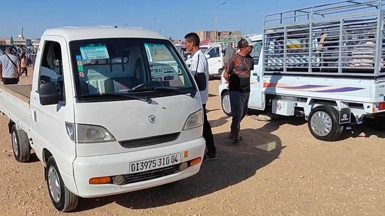 اسعار الهربينات من سوق السيارات المستعملة بيروناس ام البواقي 5 جويلية 2024