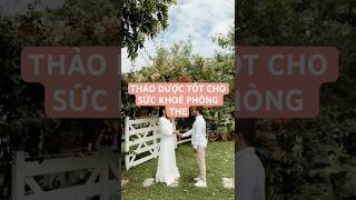 THẢO DƯỢC TỐT CHO SỨC KHOẺ PHÒNG THE