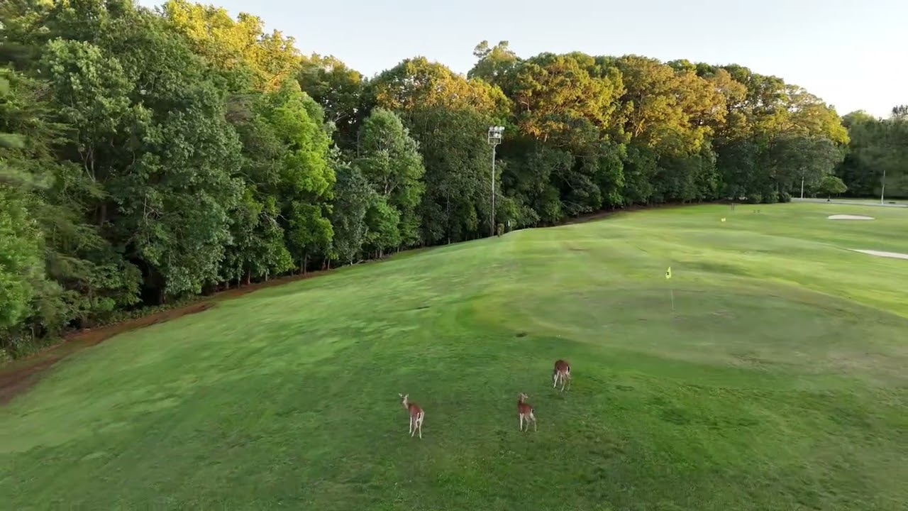 Pickleball courts golf course bur mill park